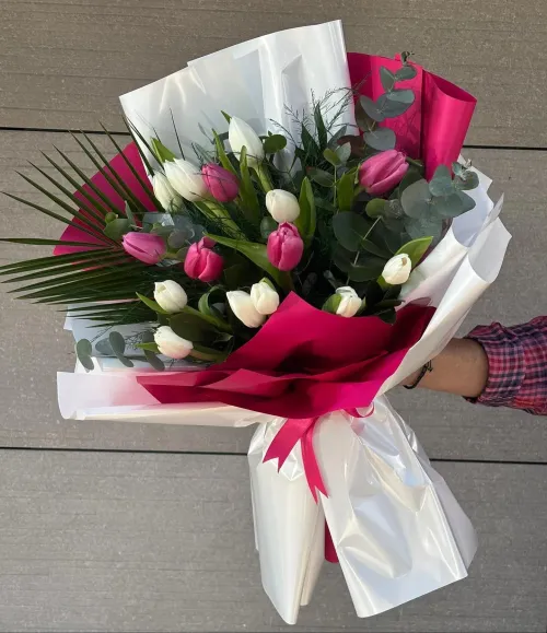 Pembe Beyaz Lale Zarafeti