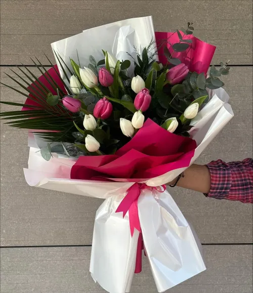 Pembe Beyaz Lale Zarafeti