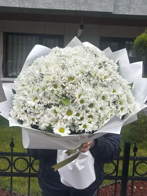 Saf Sevgi Beyaz Papatya Buketi