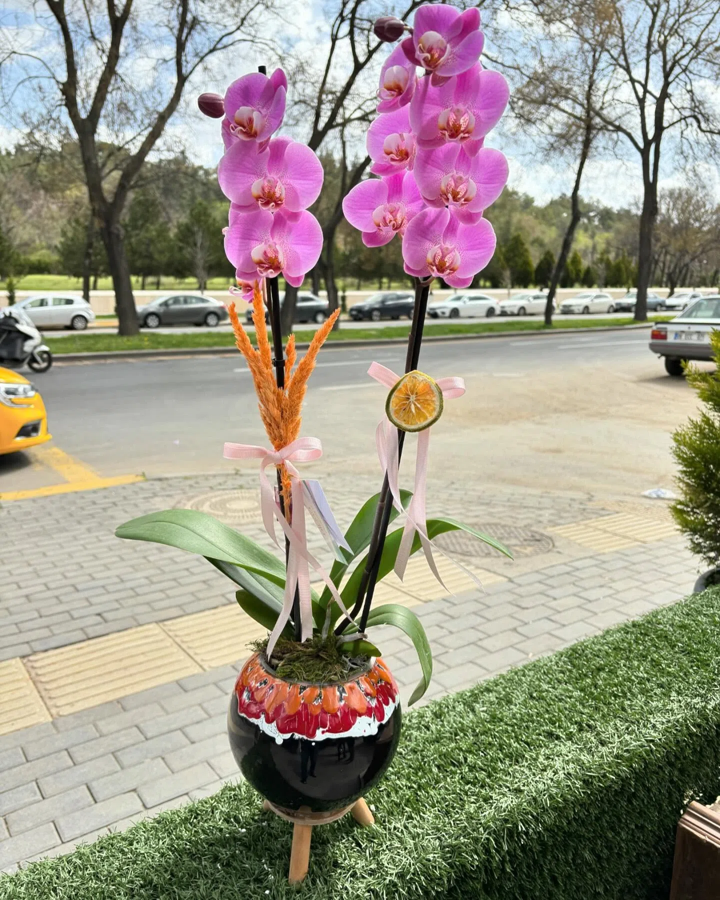 Pembe Rüya – Çift Dal Pembe Orkide ve Dekoratif Seramik Saksı