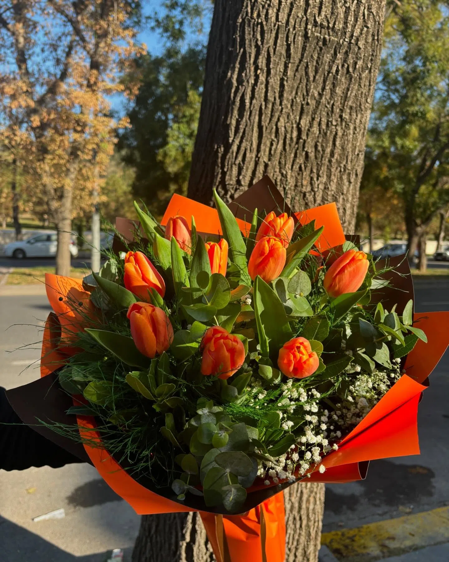 Turuncu Lale Buketi – Tutkunun ve Zarafetin Buluşması