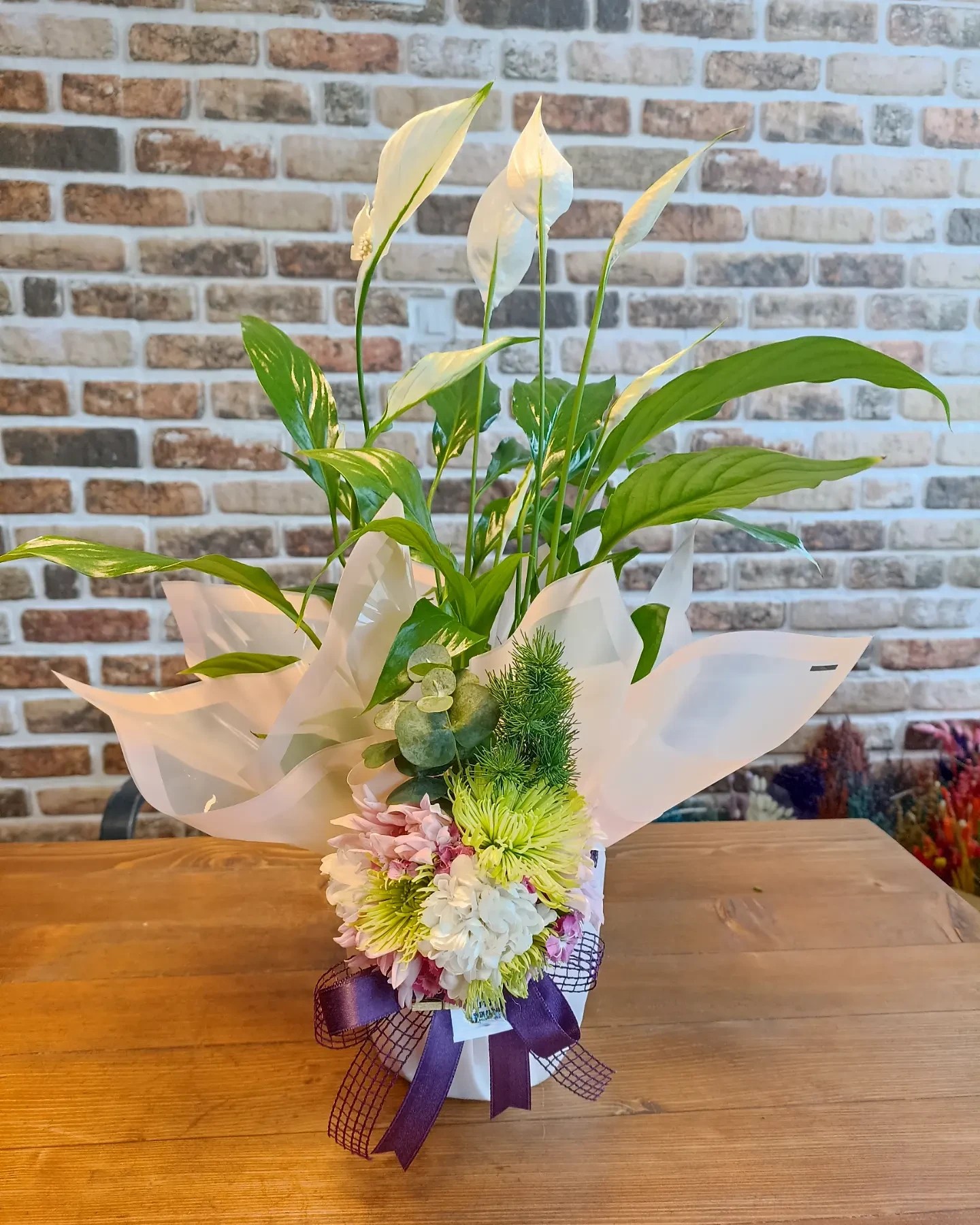 Beyaz Barış Çiçeği (Spathiphyllum) Saksıda