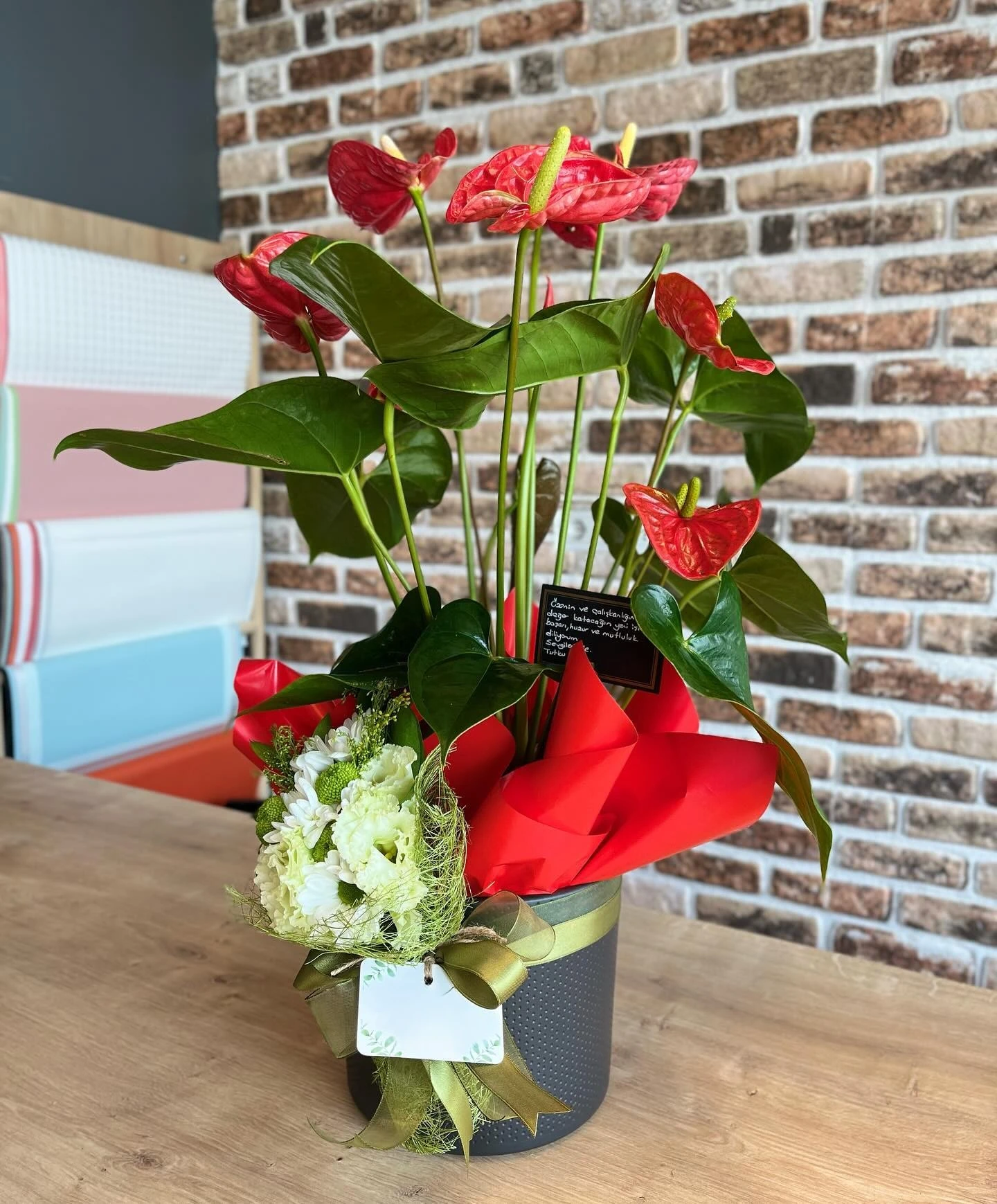 Kırmızı Antoryum (Anthurium) Saksıda